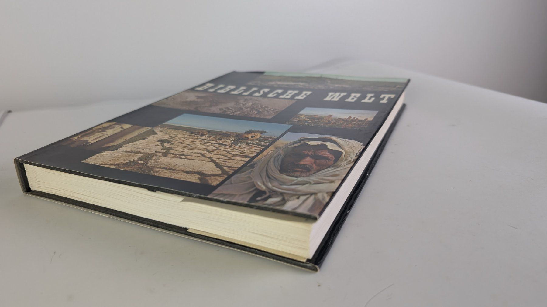 Libri: "Biblische Welt" Bildband, Silva – Usato da Zürich venduto da axolottchen 3