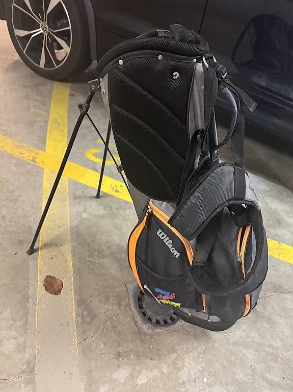 Taschen: Sac de golf Wilson – Gebraucht aus Mollens VS von sarah129 1