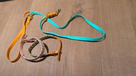 Hunde-Leine Halsbänder Paket, bunt, Biothane, neu