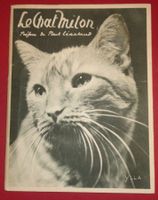 le Chat Miton foto YLLA rarität