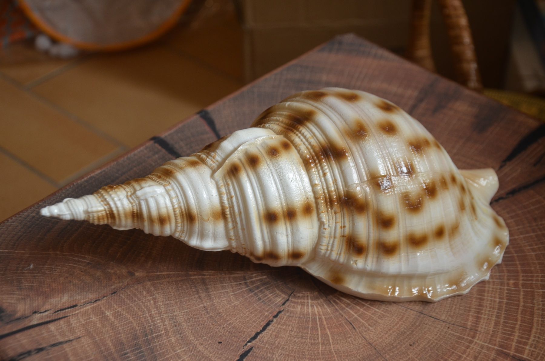 Tutte le decorazioni: DEKO LAMPE – Usato da Chiasso venduto da Dolly015