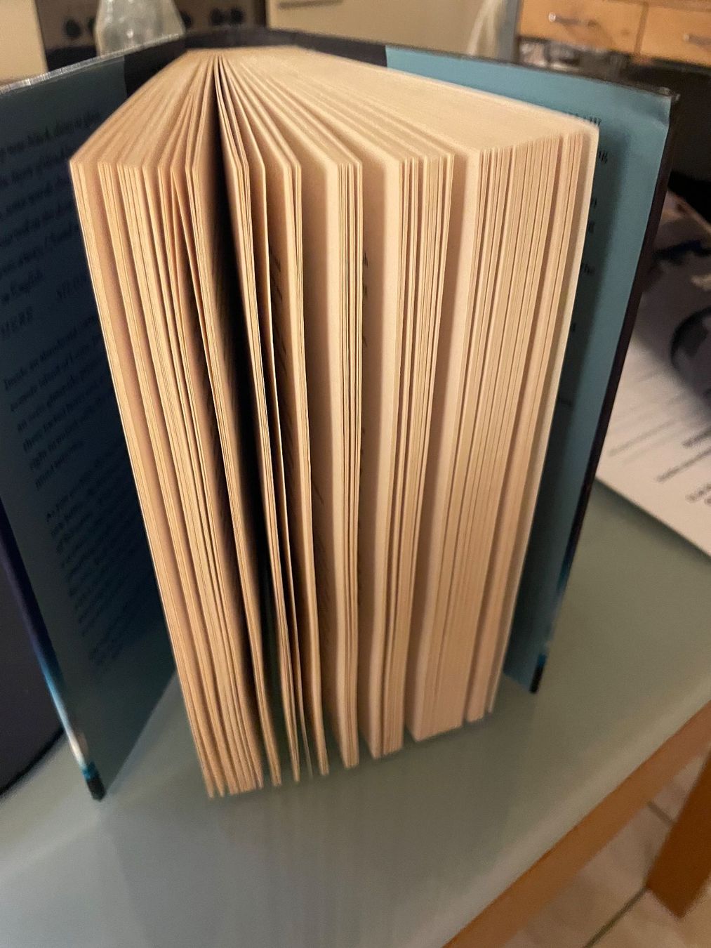 Libri: The Riddles of Epsilon – Usato da Genève venduto da lailas_things 1
