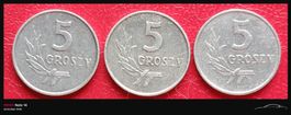 POLEN - 5 GROSZY 1970 - 1972 - ALUMINIUM - SELTENEN MUENZEN