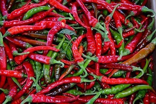 Pflanzen & Samen: Langer thailändischer Chili - Capsicum annuum - 30 Samen – Neu und originalverpackt aus Sumiswald von Cham14559