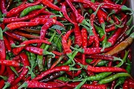 Langer thailändischer Chili - Capsicum annuum - 30 Samen