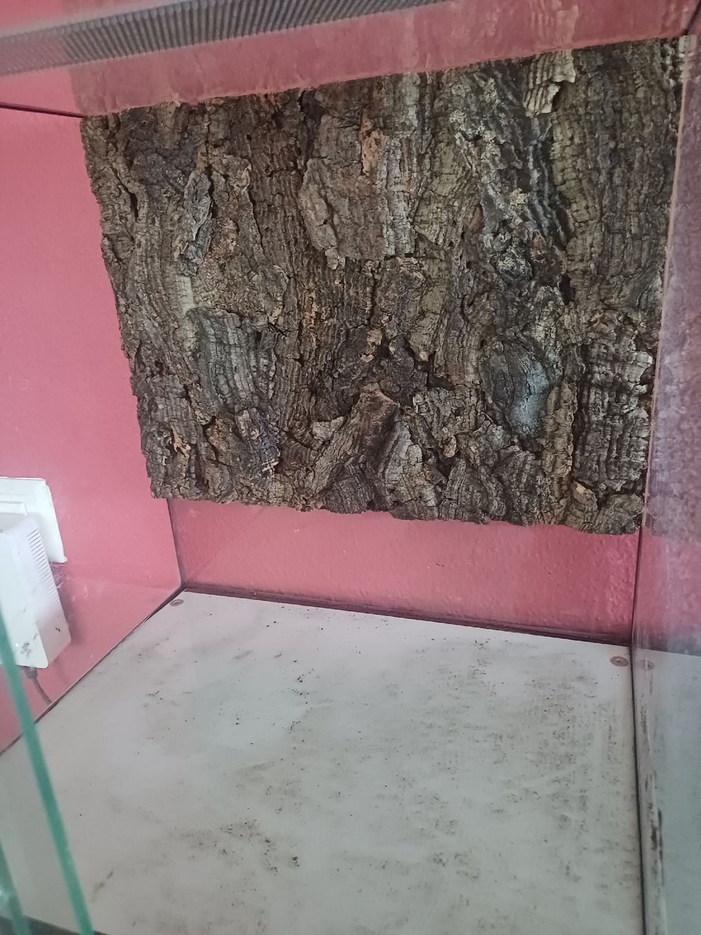 Terrario: Vollglas Terrarium  – Usato da Thalwil venduto da Skorp96 2