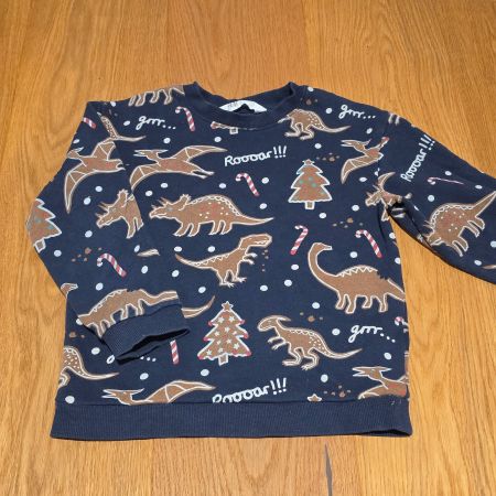 H&M Pullover Dinosaurier weihnachten gr 110/116