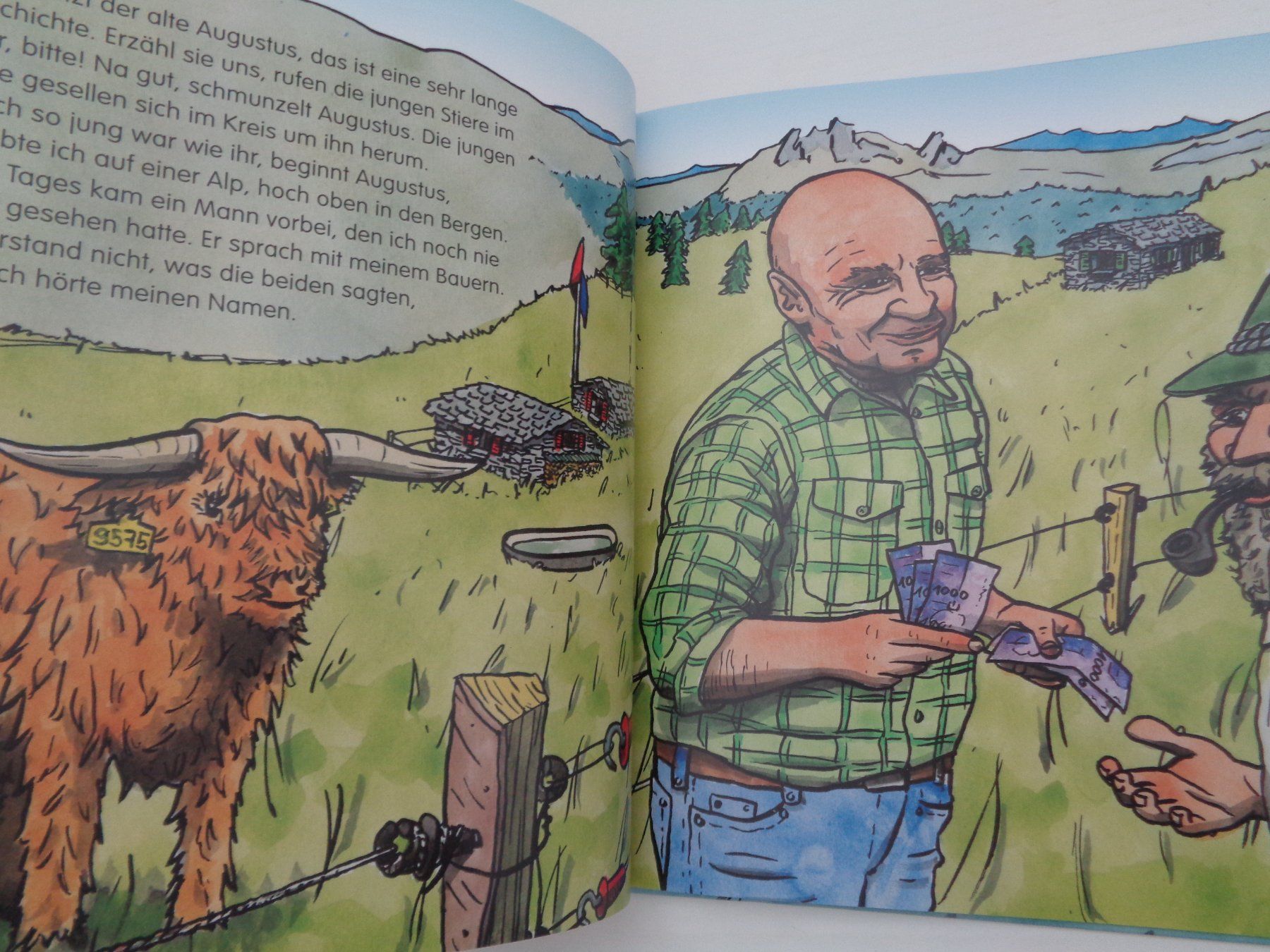 Libri: August 9575 - Fabian Hipp - Natur konkret – Usato da Chur venduto da Oregano1 4