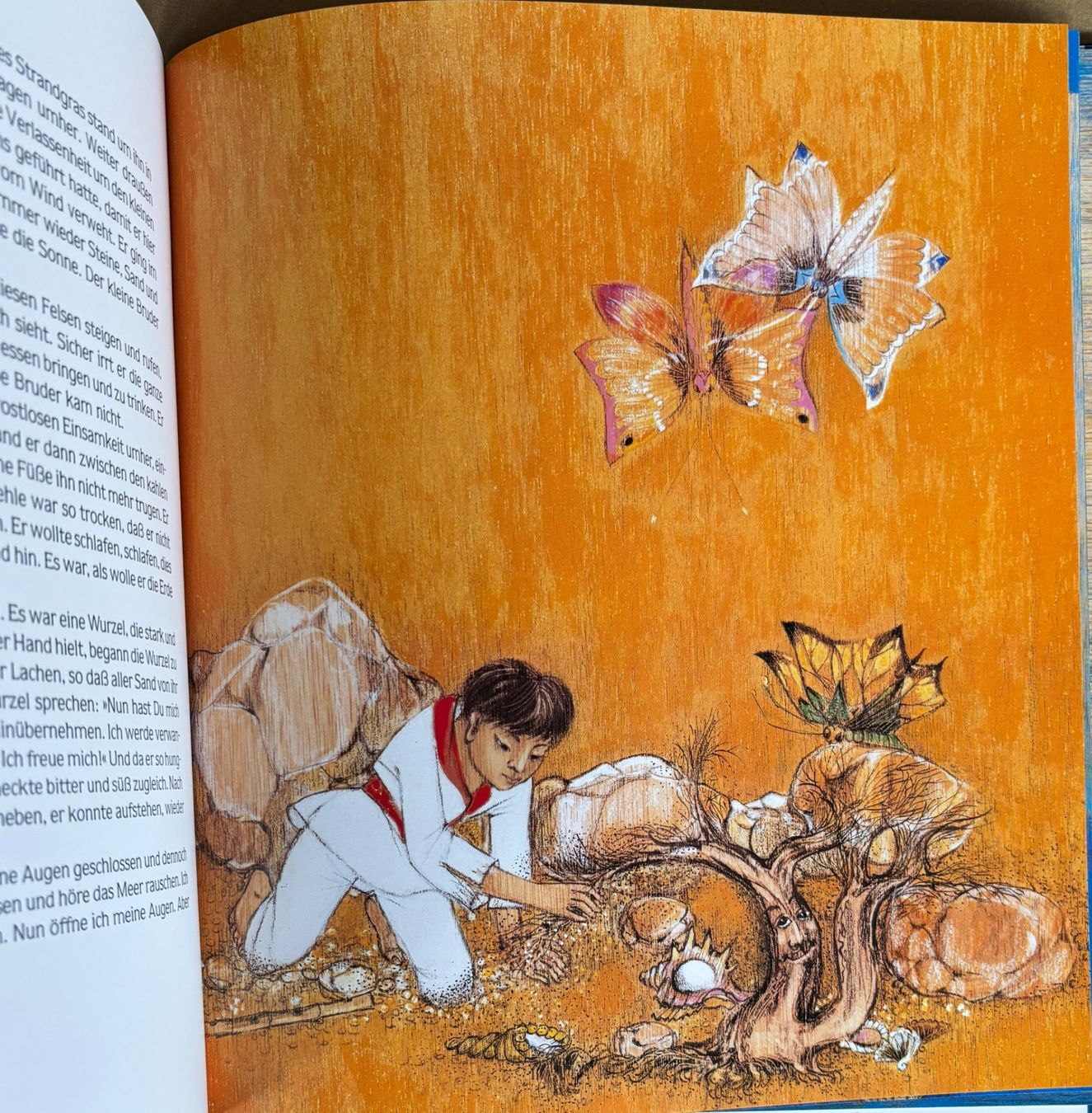 Libri: Die Flöte des kleinen Bruders - ein chinesisches Märchen – Usato da Sarnen venduto da Livres 3
