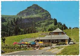 Montreux - Col de Jaman--Restaurant Manoïre