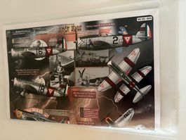 1/48 JUICY JUGS P-47 LATIN AMERICA