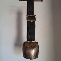 OBERTINO TREICHEL ab 2Fr 