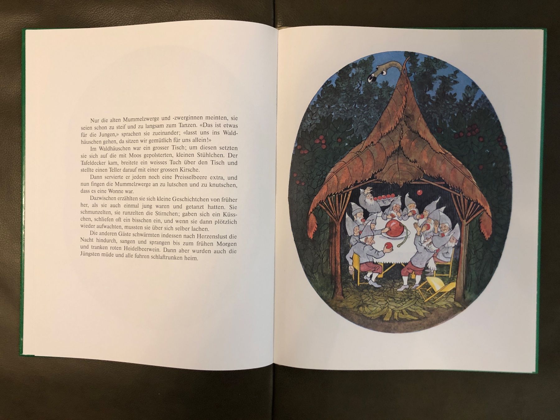 Libri: Buch Wiesenzwerge von E. Kreidolf – Usato da Nunningen venduto da anclaudia 4