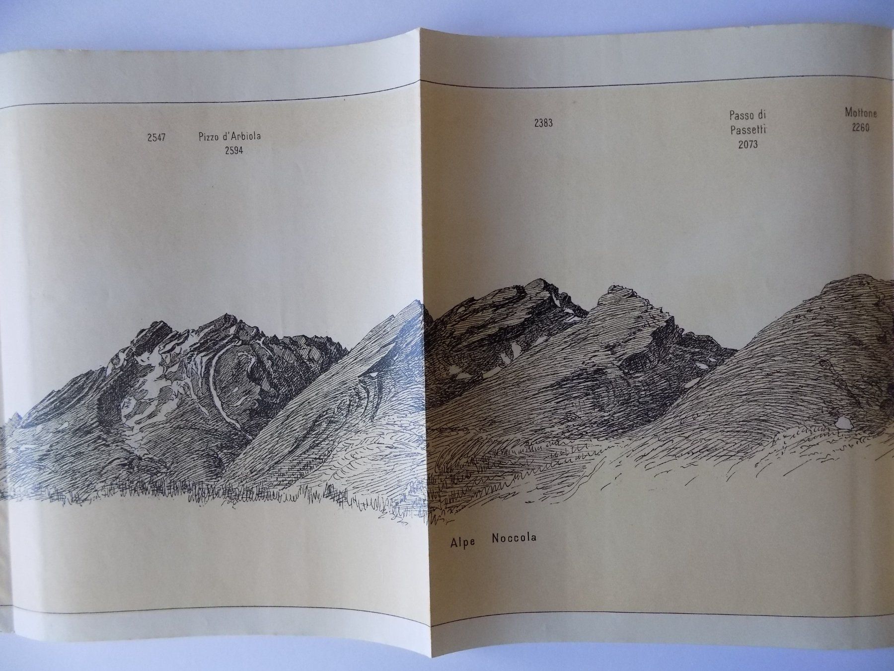 Incisioni: Panorama der Misoxer Alpen 1904 – Usato da Risch venduto da Antikfee 3