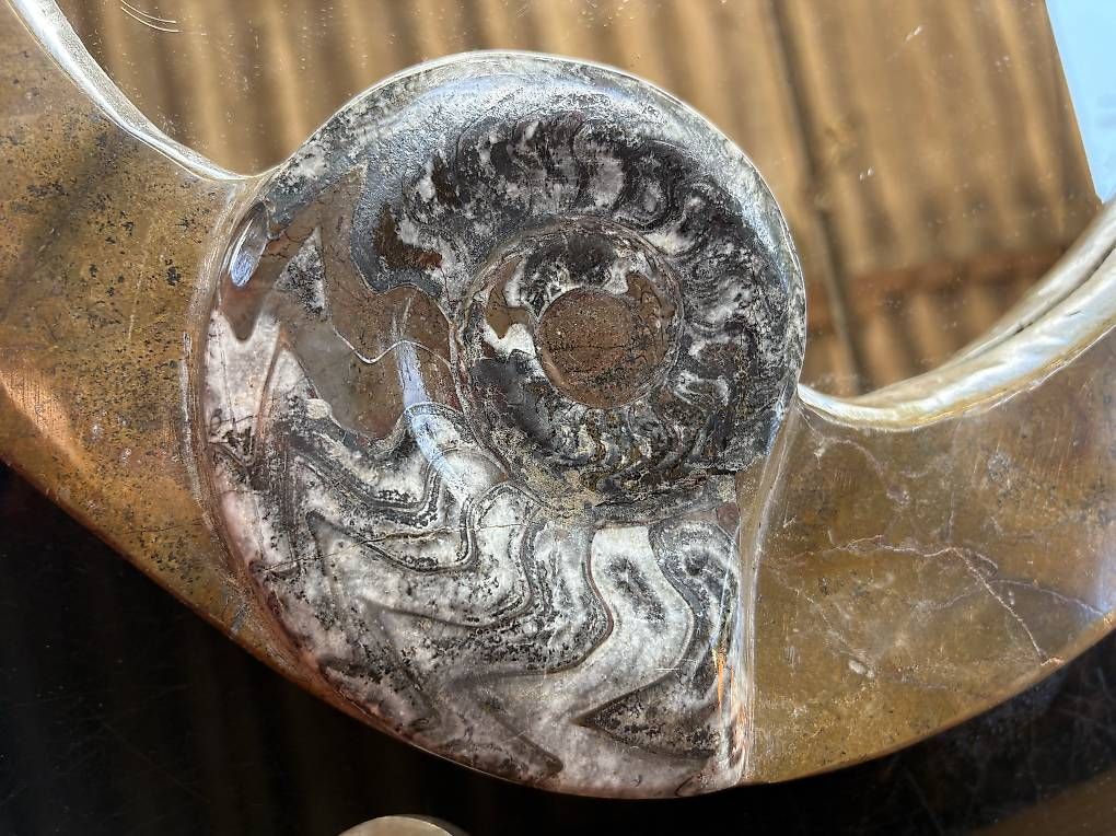 Spiegel: Fossilien Spiegel – Gebraucht aus Birmenstorf AG von Darky777 4