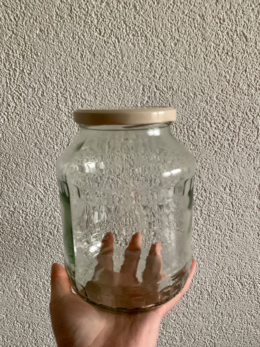 Behälter & Ähnliches: Konfigläser mit Deckel 1,6 liter – Gebraucht aus Thalwil von mar_pvv8