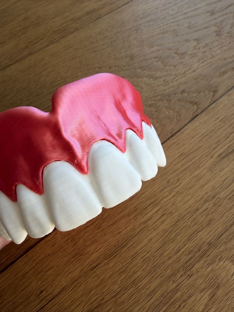 Tutte le decorazioni: Zahnprothese 3× vergrössert – Nuovo (secondo la descrizione) da Wölflinswil venduto da Jqnq 4
