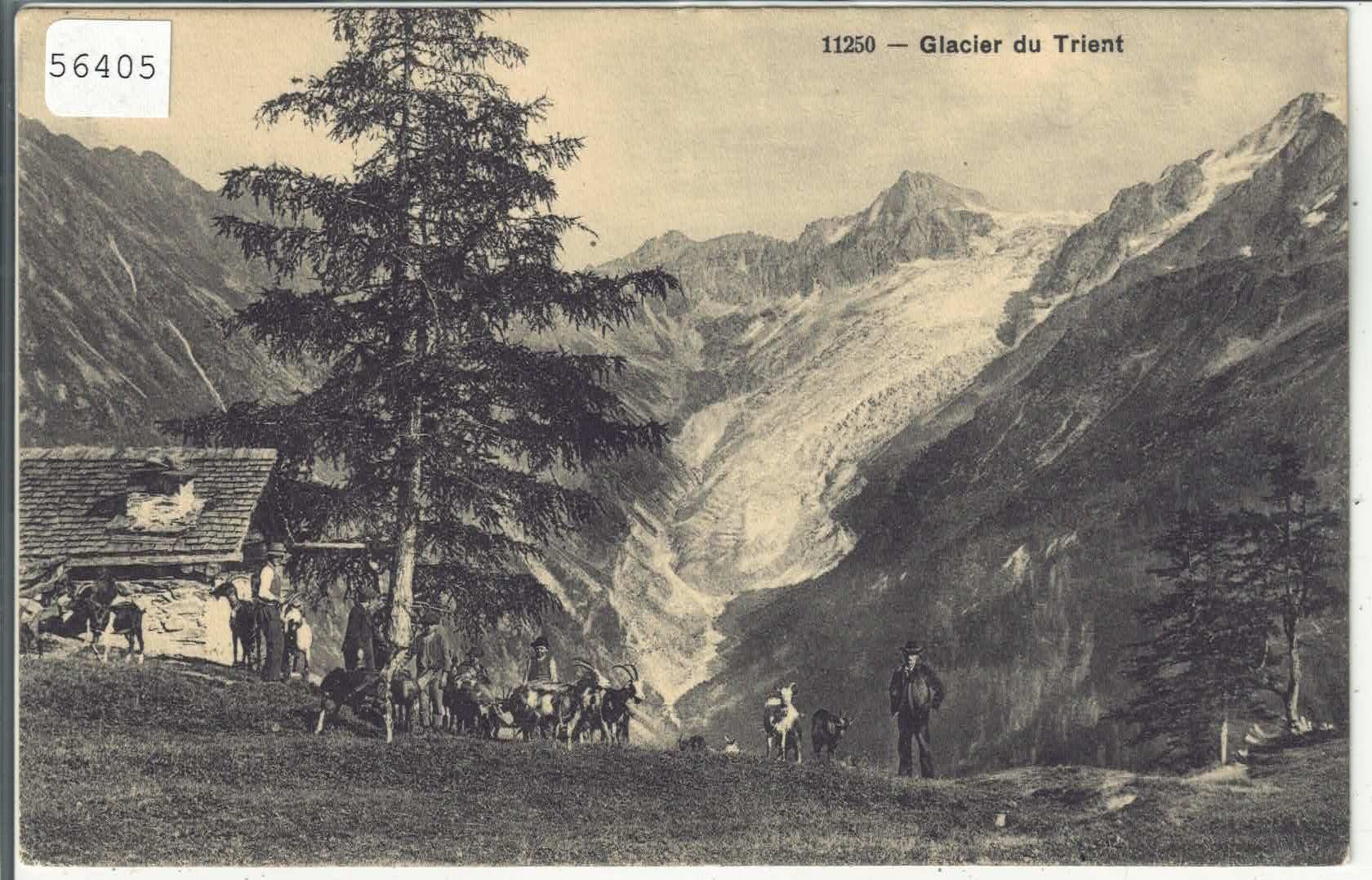 Cartoline postali: Le Glacier du Trient - Ziegen chevres - animee – Usato da Ettingen venduto da Kartenplanet