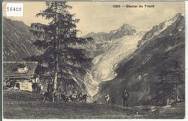 Le Glacier du Trient - Ziegen chevres - animee