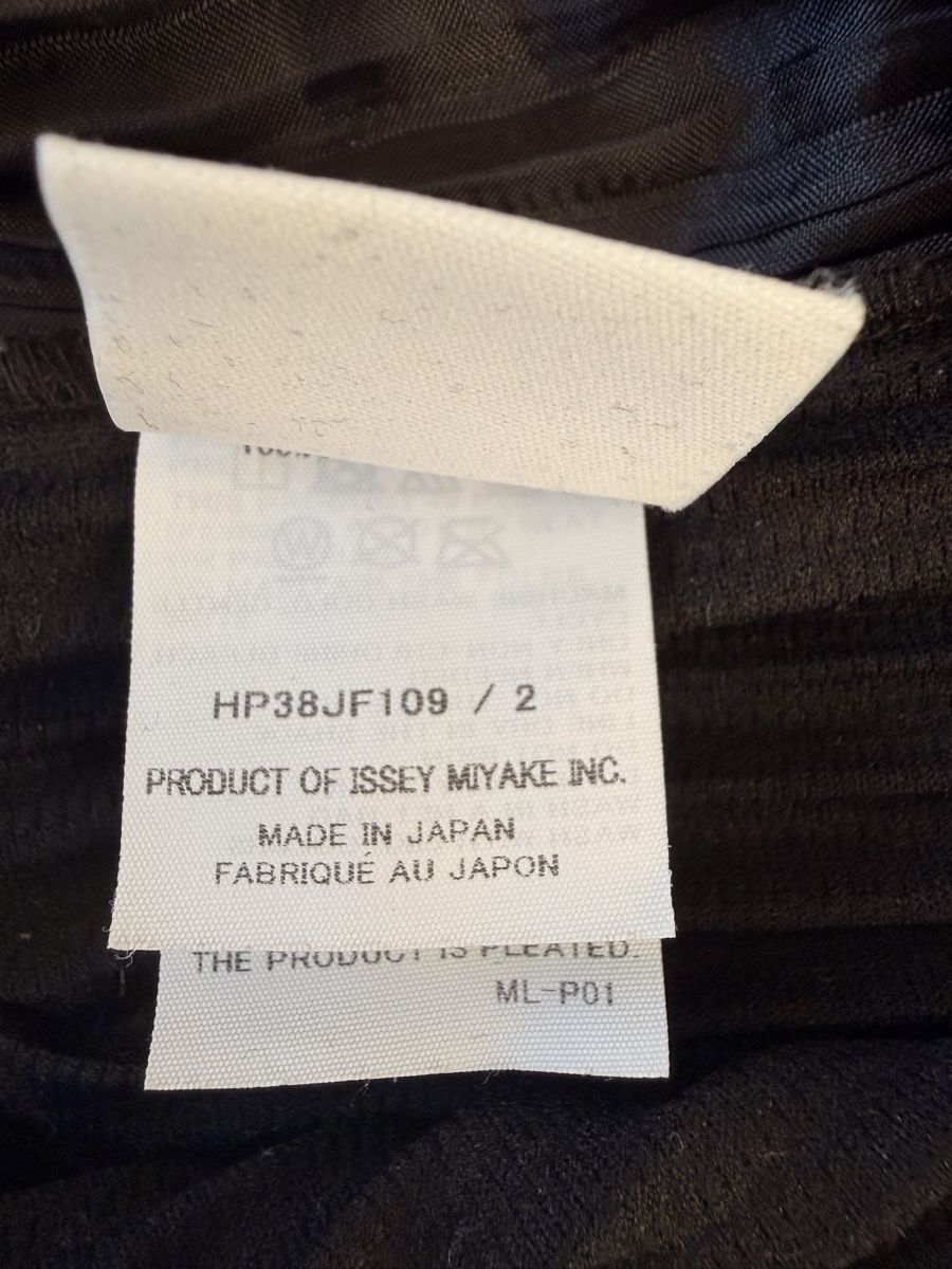 Hosen: Homme Plisse Issey Miyake – Gebraucht aus Zürich von fgadie 2