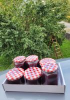 Bio Zwetschgen Konfitüre mit Vanille/Zimt