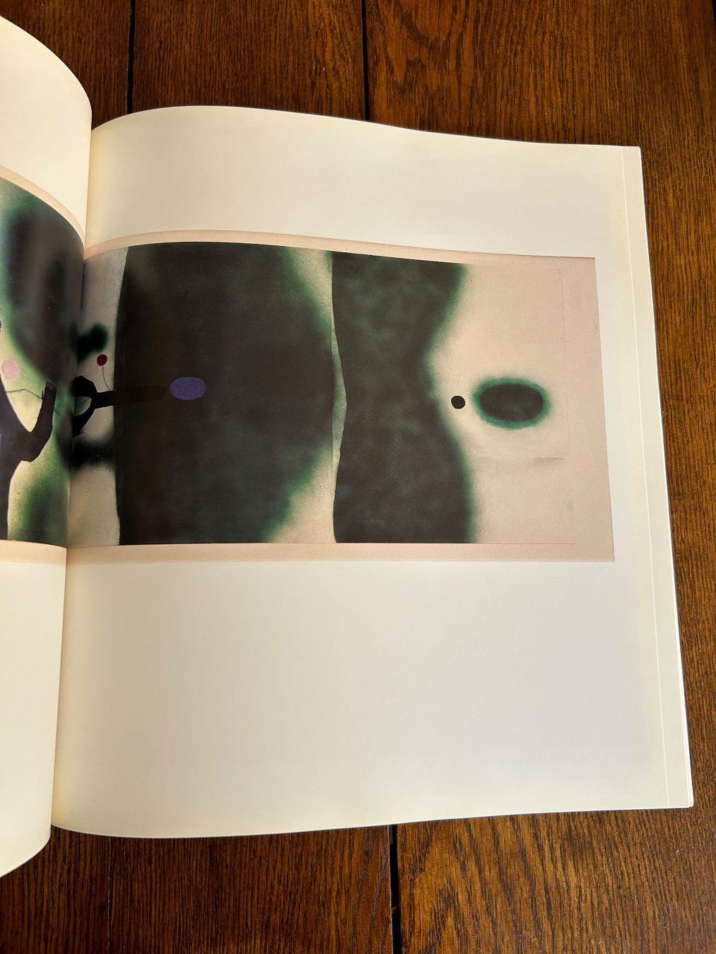 Livres: Victor Pasmore - Paintings and graphics 1980-92 – D'occasion à Basel par Peter_schlemihl 3