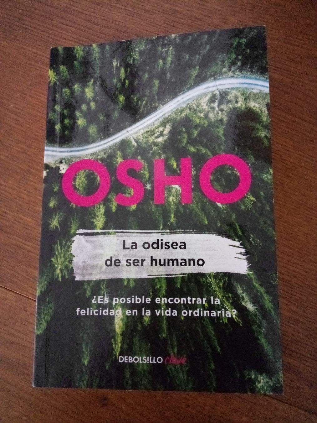 Libri: Osho La odisea de ser humano  – Usato da Volketswil venduto da Car1
