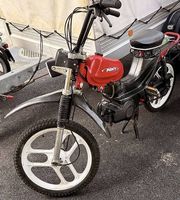 Pony Mofa zum vermieten 