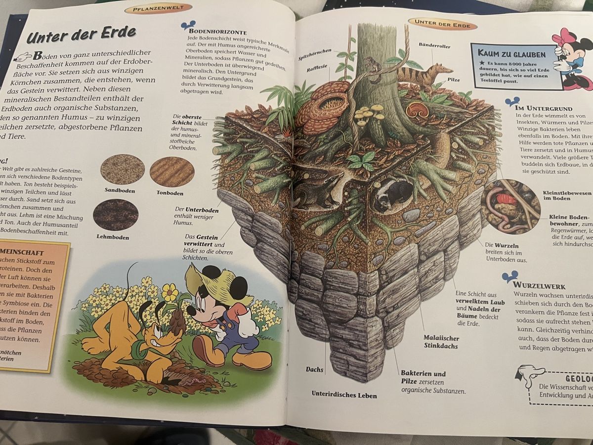 Libri: Disney Micky Maus Wissen Sammlung Bücher – Nuovo (secondo la descrizione) da Niederglatt ZH venduto da AnFleischmann 5