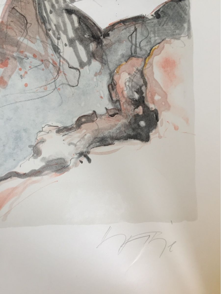 Grafica & Litografie: Hans Fitze – Usato da Chur venduto da Sial 1