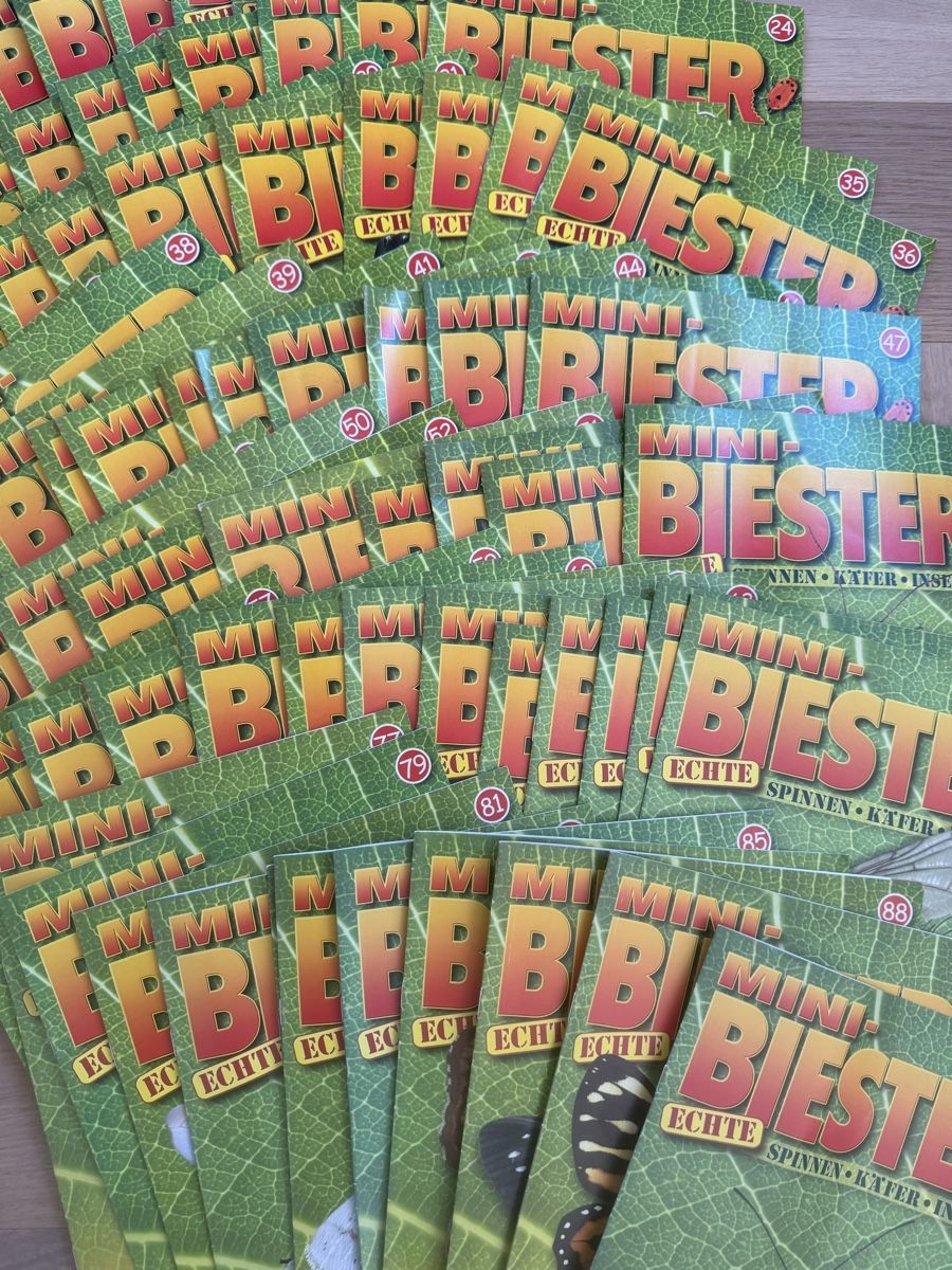 Zeitschriften & Magazine: Mini Biester Hefte mit Giessblöcken – Gebraucht aus Grenchen von Bastet007 1