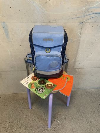 Ergobag Schulthek – guter Zustand, Reflektoren & Klettie ink