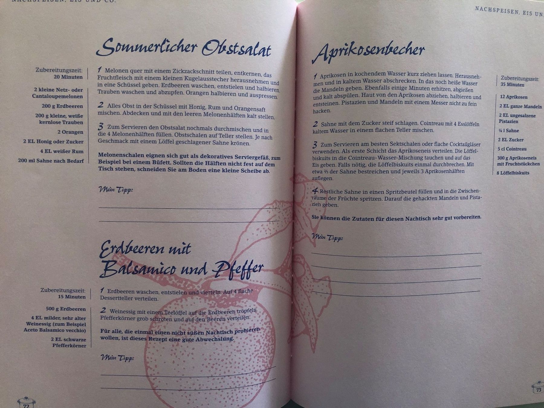 Libri: Das Landfrauen Beerenbuch – Usato da Pfäffikon ZH venduto da Wacardo 7