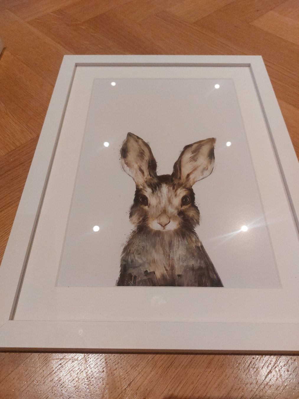 Foto & Immagini: 4x Cute Animal Pictures, incl. white frames – Usato da Zürich venduto da Lolaad 2