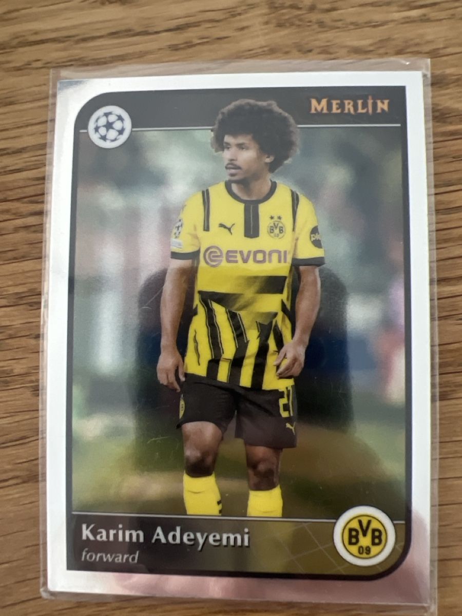Carte collezionabili: Merlin Karim Adeyemi BVB – Usato da Zeiningen venduto da lalema