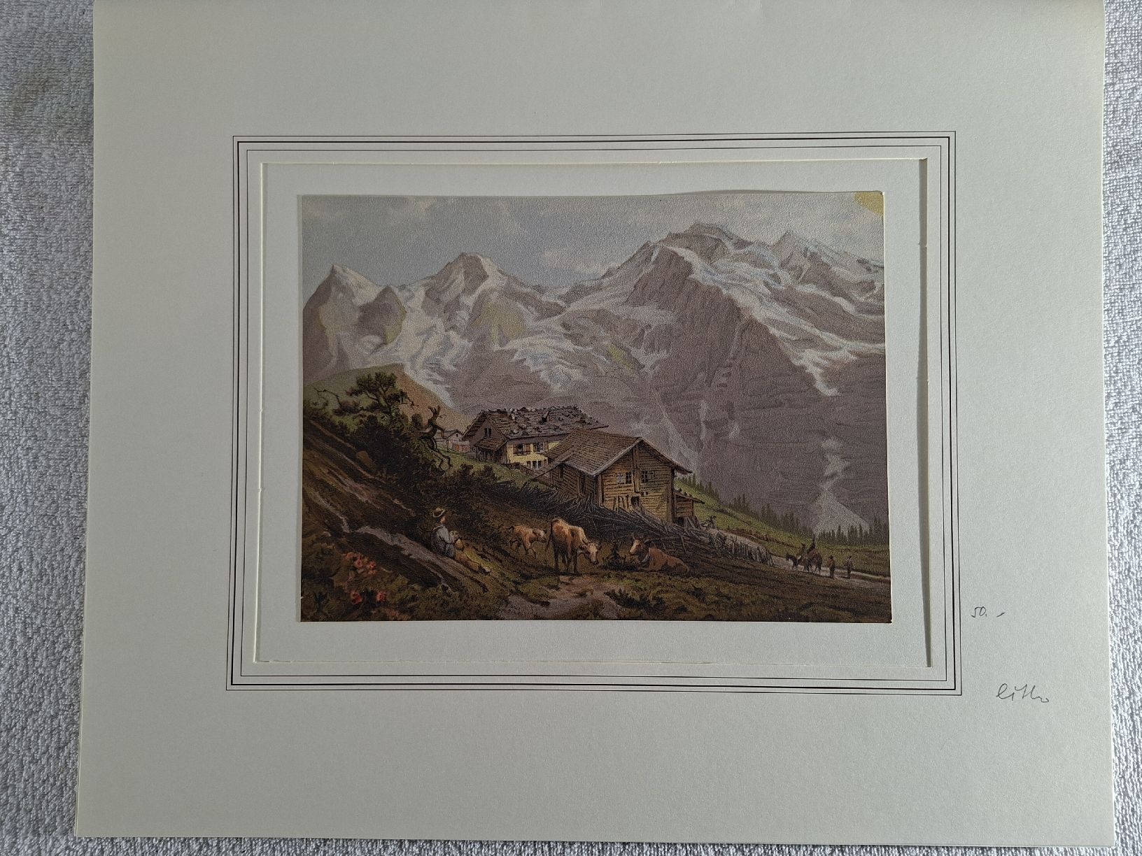 Incisioni: Lot 20, 5 Stiche  – Usato da Grindelwald venduto da carro5 4