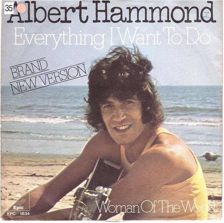 Dischi in vinile: Albert Hammond  --  Everything i want to do  Single7 – Usato da Rheinau venduto da thealbum