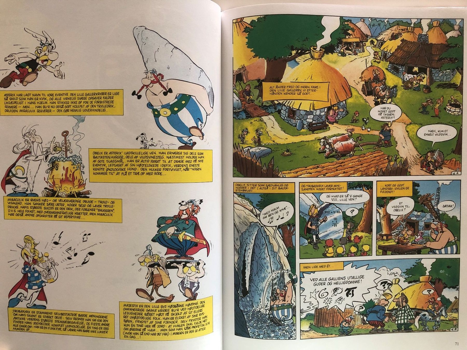 Fumetti: Asterix den komplette Samling 1- in dänischer Sprache – Usato da Pfäffikon ZH venduto da Wacardo 6