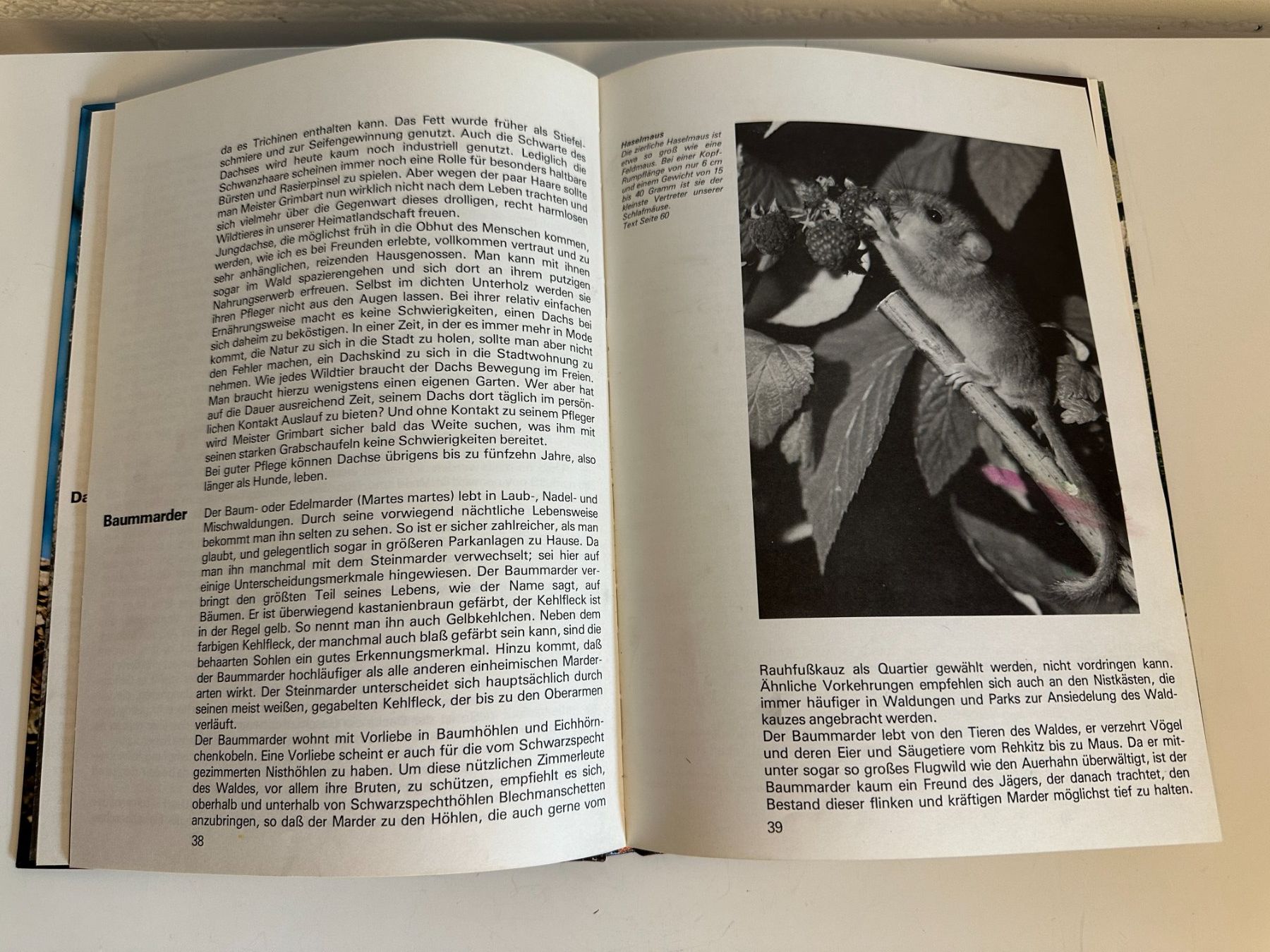 Libri: Buch "Freilebende Tiere unserer Heimat" – Usato da Urdorf venduto da Erika666 1