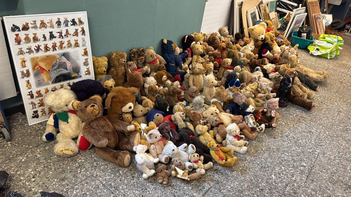 Bambole: Plüschtiere Teddybären – Usato da Kollbrunn venduto da Jani2015 1