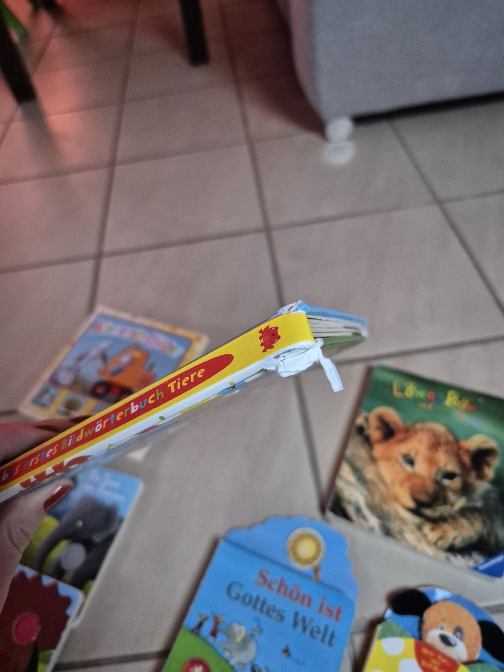 Bücher: Bücherpaket 1 Jährige – Gebraucht aus Seeberg von Zauberfee95 1