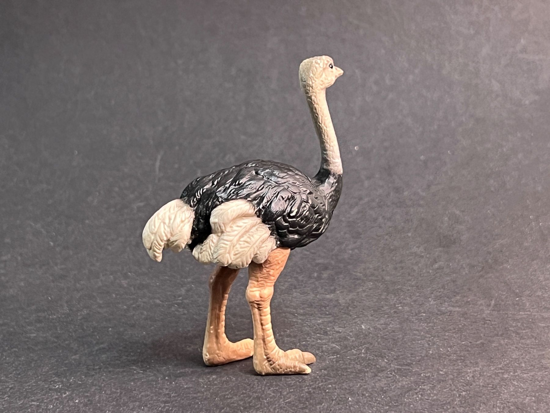 Schleich Figuren: Schleich Strauß und Straussenjunges Strauss – Gebraucht aus Ennetbaden von mapa05 5