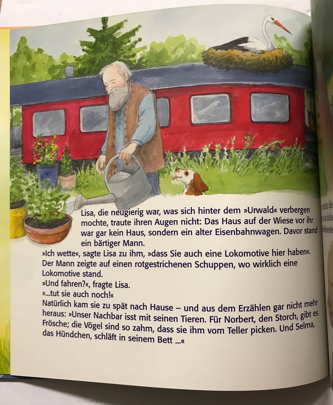Libri: Lisa und der Mann vom Kuckucksstern – Nuovo (secondo la descrizione) da Sarnen venduto da Livres 3