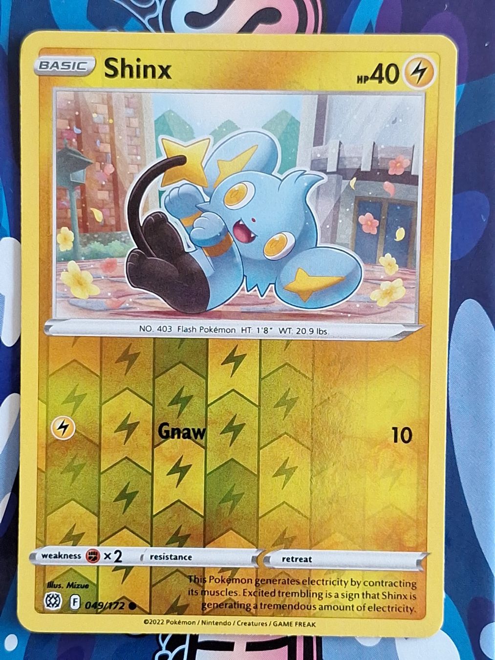 Pokémon Carte collezionabili: Shinx - Reverse Holo Brilliant Stars - #2Ord – Usato da Altstätten SG venduto da GGsGameshop