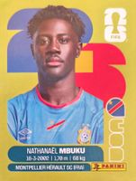 Carte FIFA World Cup 2026 COD 20