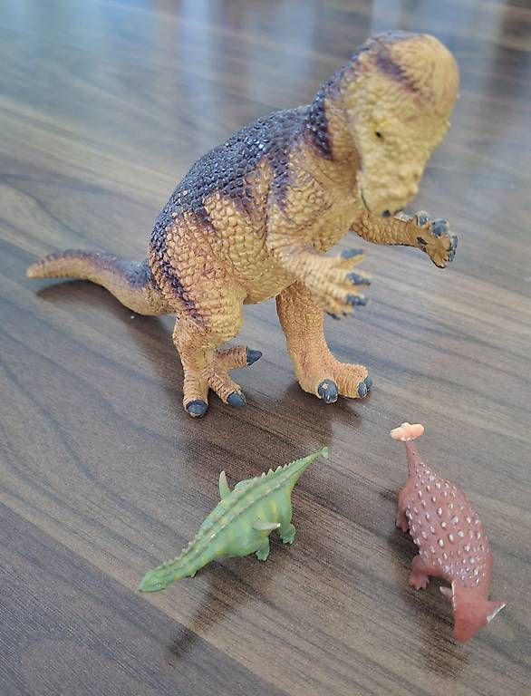 Livres: Dinosaurier – D'occasion à Walde AG par Rohsi