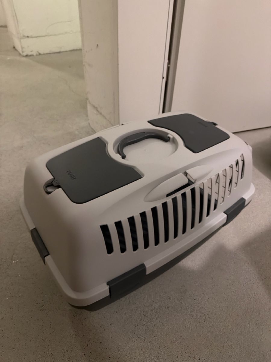 Cucce & Letti: katzenbox – Usato da Schlieren venduto da daf_cw5k 1