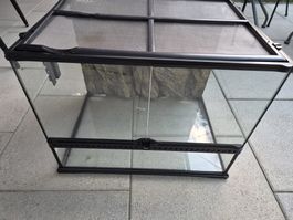 Terrarium