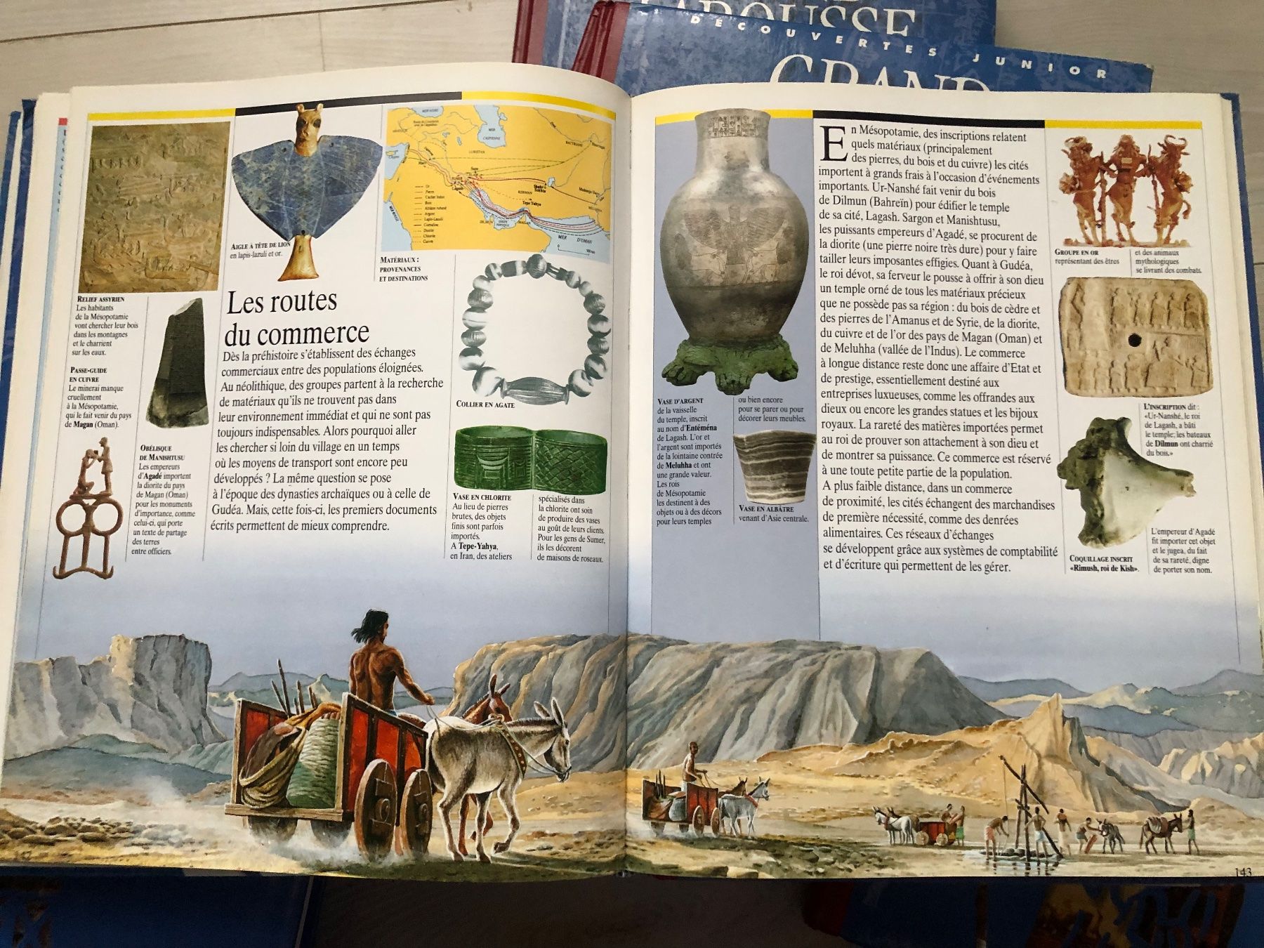 Bücher: Collection Grand Larousse Junior 10 volumes – Gebraucht aus Bernex von joe_6dn9 6