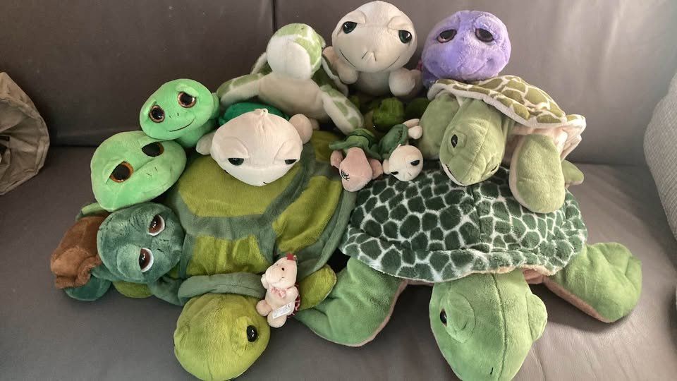 Jouets: Grosse Sammlung von Plüsch Schildkröten – D'occasion à Rudolfstetten par Stellina1975